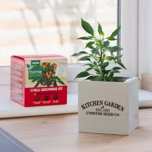 Homegrown Chilli Growing Kit