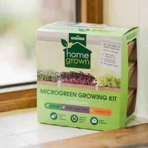homegrown microgreens growing kit