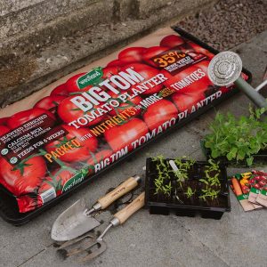 Westland Big Tom Tomato Planter