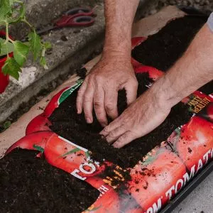 Opening compost bag planting holes