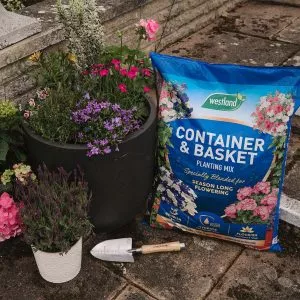 compost bag and planted pots