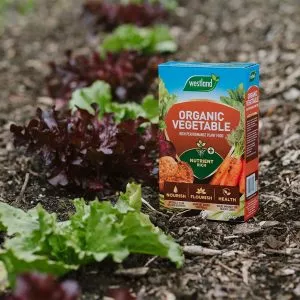 Westland Organic Vegetable High Performance Plant Food