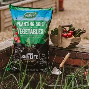 bio-life planting soil for veg