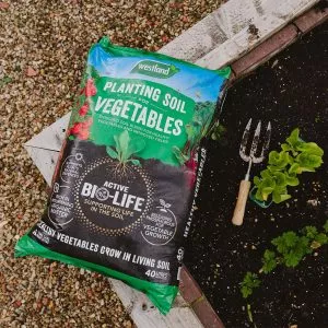 planting soils for veg