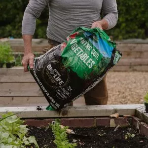 planting soils for veg