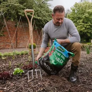 planting soils for veg