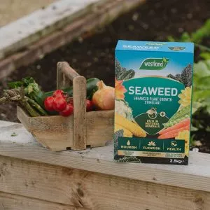 Westland Seaweed Enhanced Plant Growth Stimulant