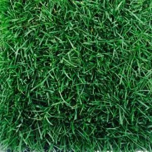 Oryzon Grass India Bright 40 mm - 4 m