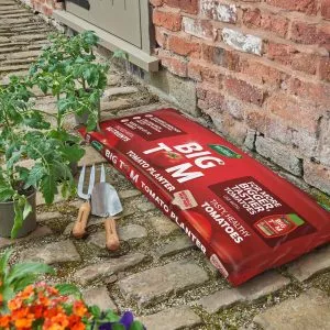 big tom peat free tomato planter lifestyle