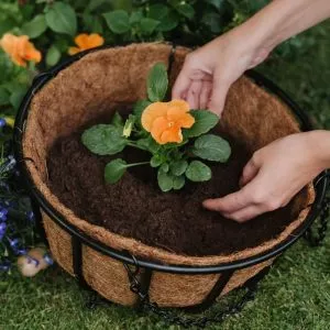 container and basket planting mix