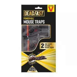 Deadfast Power-Kill Mouse Trap in pack