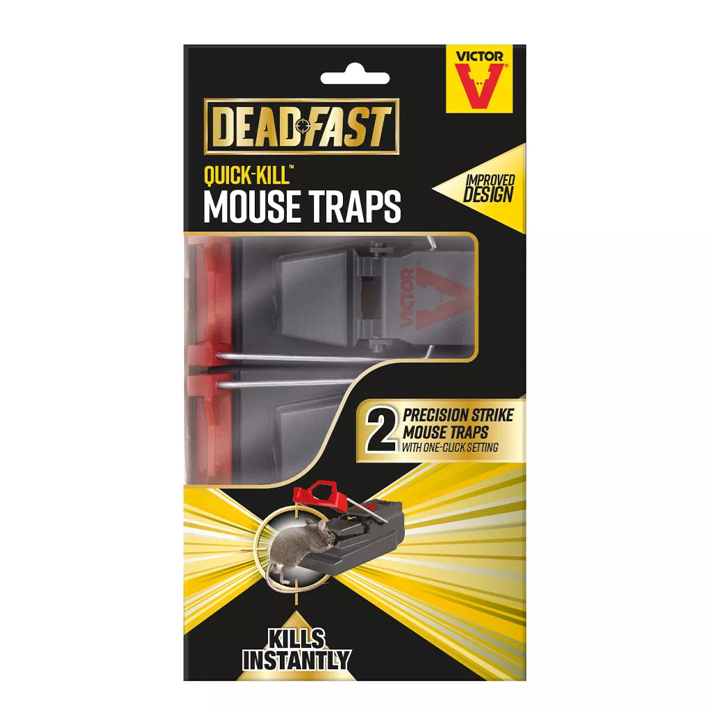 Trap That Effectively Kills a Mouse