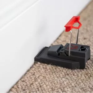 Deadfast Quick-Kill Mouse Traps in use