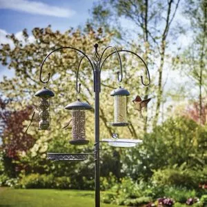 Gardman Decorative Feeding Station in situ