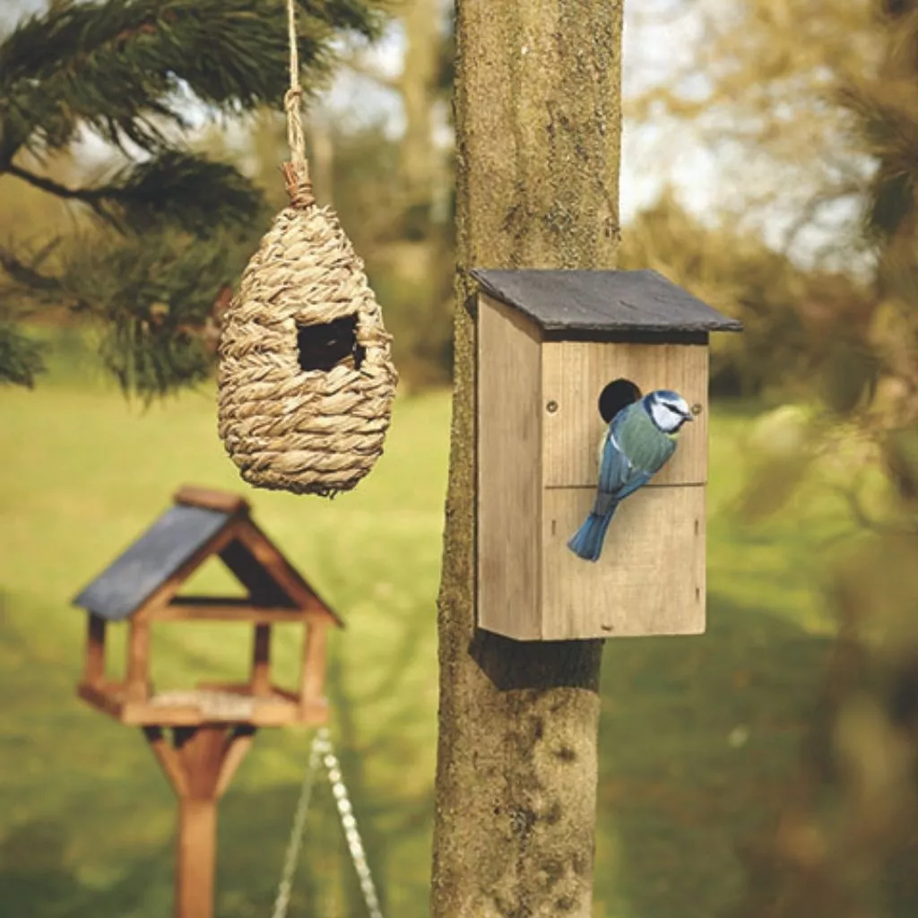 nest box in use winter bird feeding