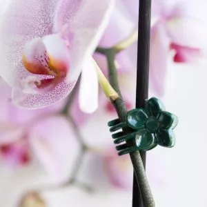 plant and flower clips in use