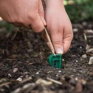 plastic garden pegs in use