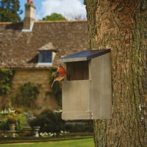 robin bird nest box