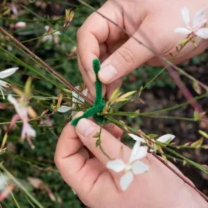 soft twist plant ties lifestyle