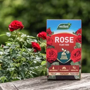 Westland Specialist Rose Plant Food with rose