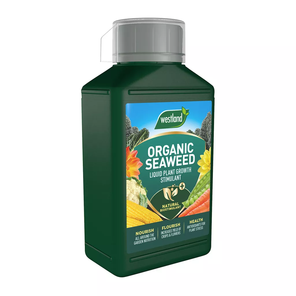 organic seaweed plant growth stimulant