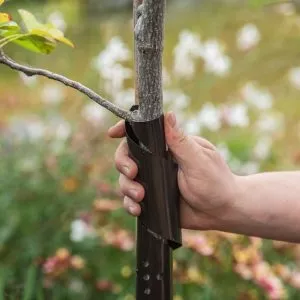 spiral tree guard in use