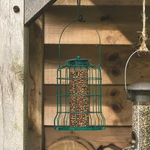 Gardman Squirrel proof peanut feeder in situ