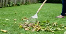 Gardening Jobs to do in Autumn