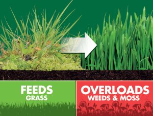 triple care overloads weeds and moss