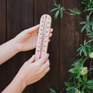 wooden thermometer in use