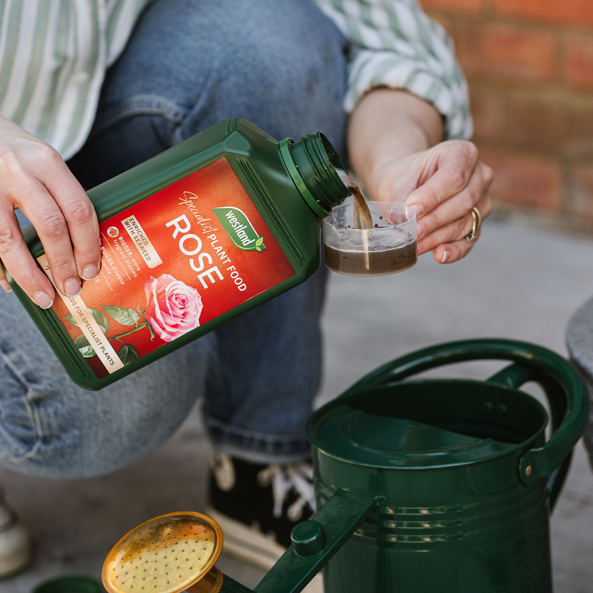 westland rose liquid feed being poured into watering can