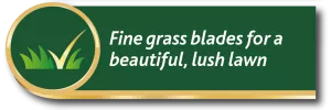 Gro-sure lawn seed promise: fine grass blades for a beautiful, lush lawn