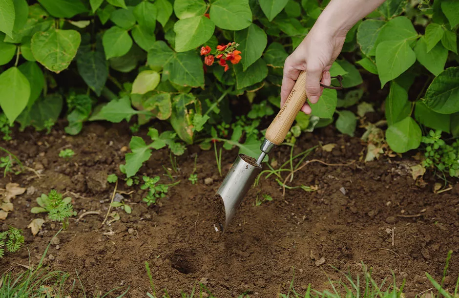 kent & stowe small bulb planting tool in use