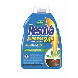 Resolva Xpress 24H Concentrate