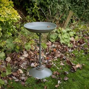 secret garden bird bath