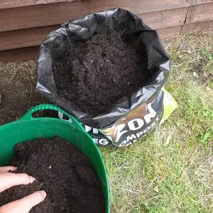 how to grow potatoes: step 5