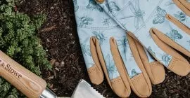 The right gardening gloves for the task