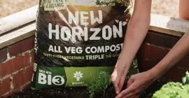 How to Grow Vegetables with New Horizon