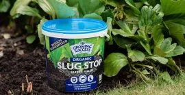 Using Growing Success Organic Slug Stop Barrier Pellets