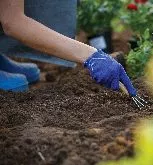 flower soil