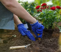 planting soil for flowers
