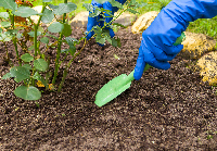 flower soil