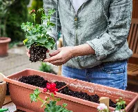 planting soil for flowers