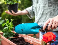 planting soil for flowers