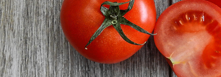 tomatoes recipes