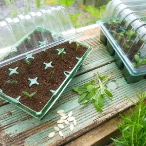 Gro-Sure Visiroot Twin Propagator Set