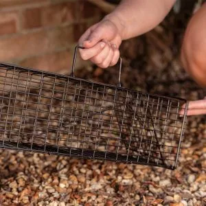 deadfast rat cage