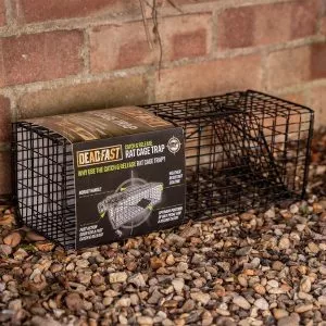 Deadfast Catch & Release Rat Cage Trap - Deadfast - Garden Health