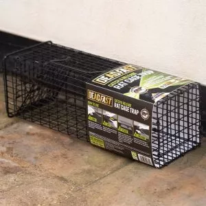 https://www.gardenhealth.com/wp-content/uploads/2021/07/0022_Westland-Deadfast-Catch-Release-Rat-Cage-Trap-20300604-Lifestyle_1-300x300.webp