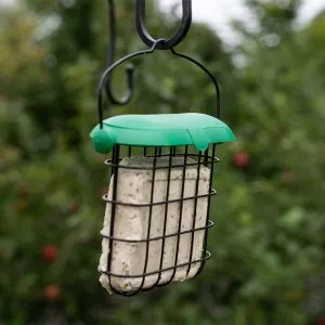 Flip Top Suet Feeder with suet cake in